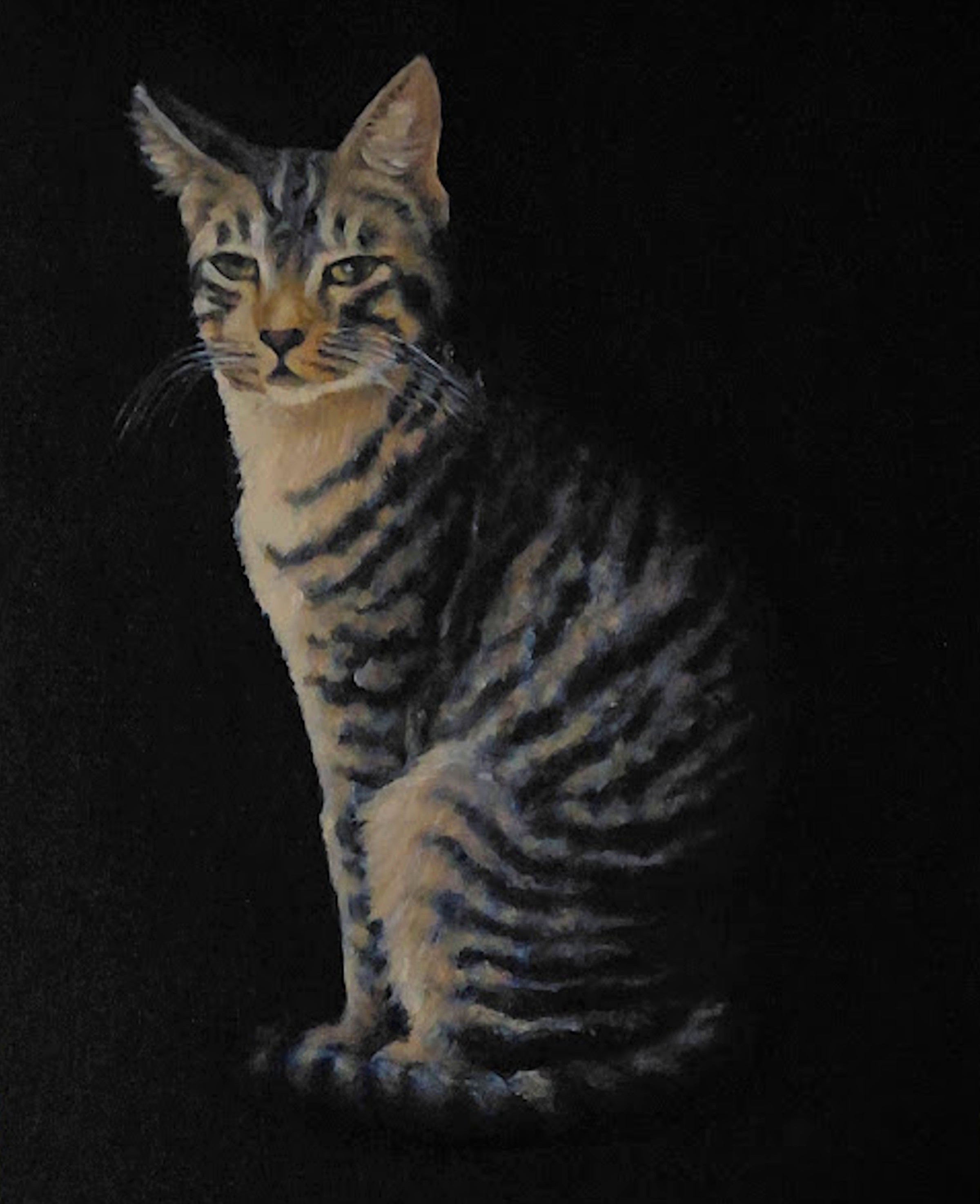 Throw Pillow with detailed painting of an elegant tabby cat on a black background