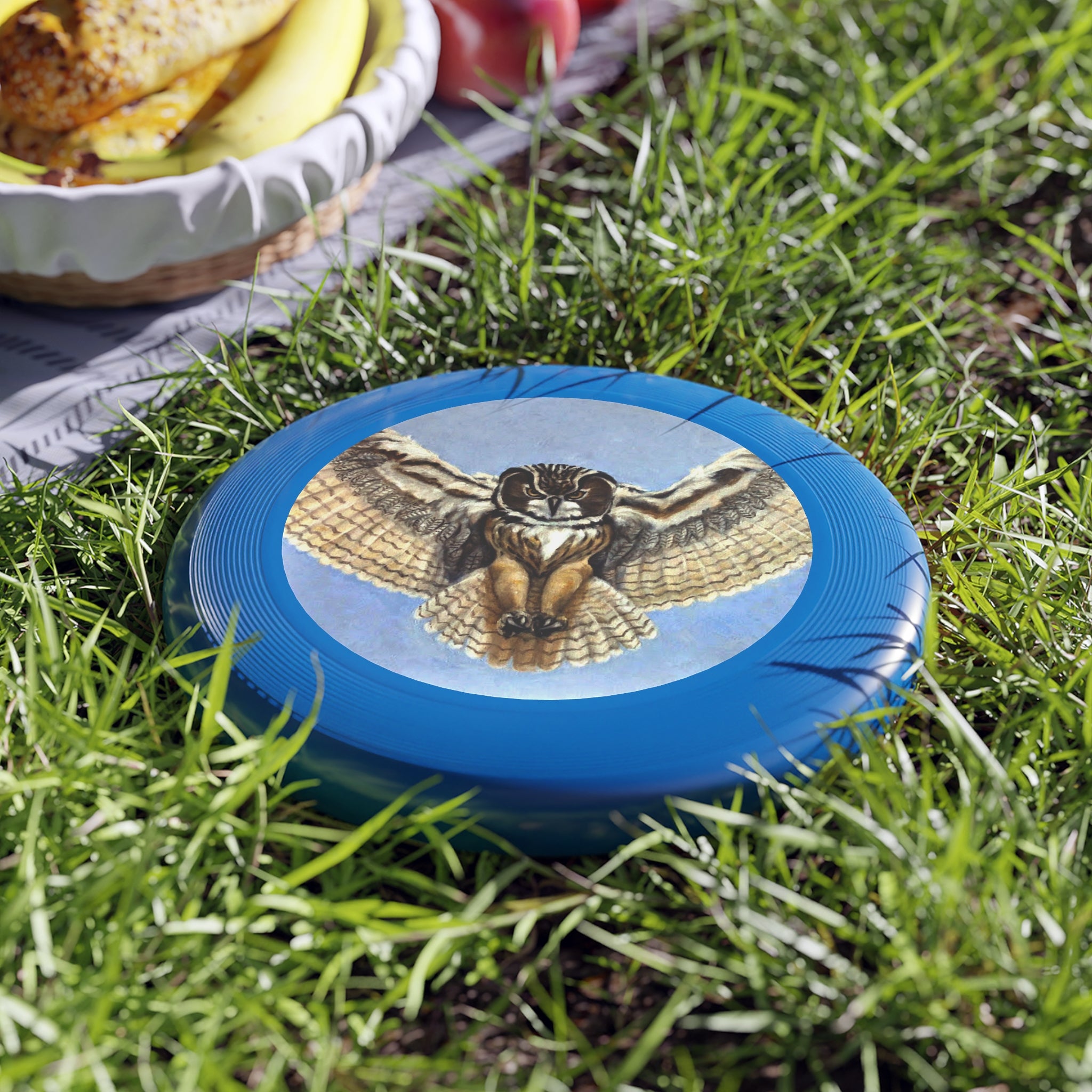 Blue frisbee with a painted flying owl