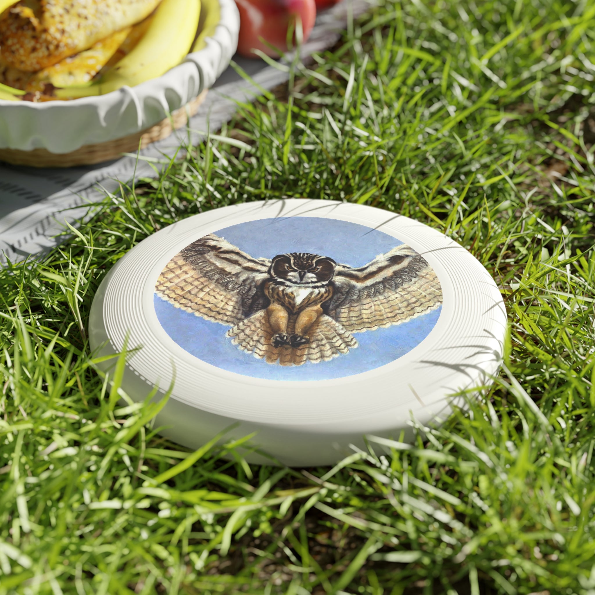 Frisbee with Painted Flying Owl Design for outdoor fun