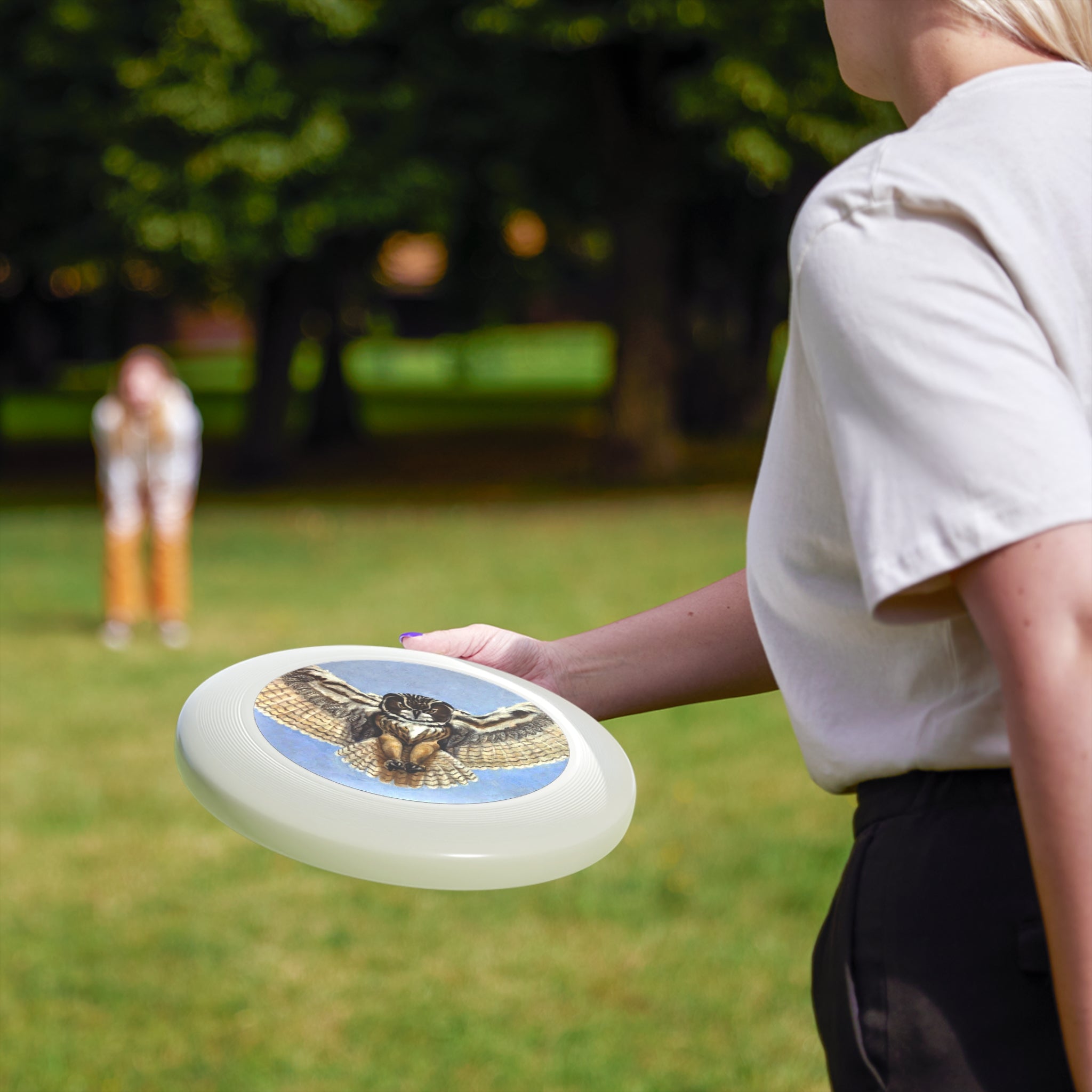 Frisbee features painted flying owl in 5 colors