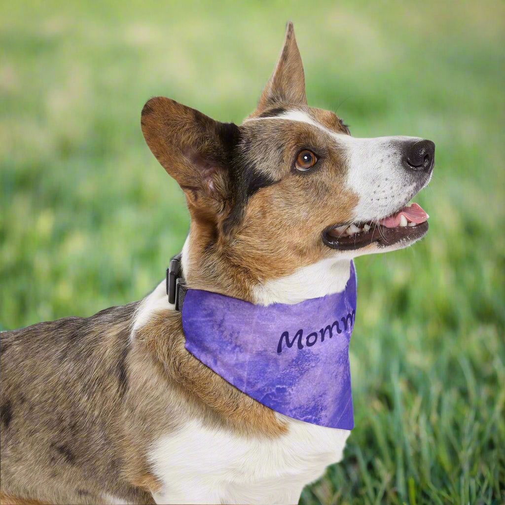 Dog wearing a purple bandana with 'Mommy' printed on it in yard
