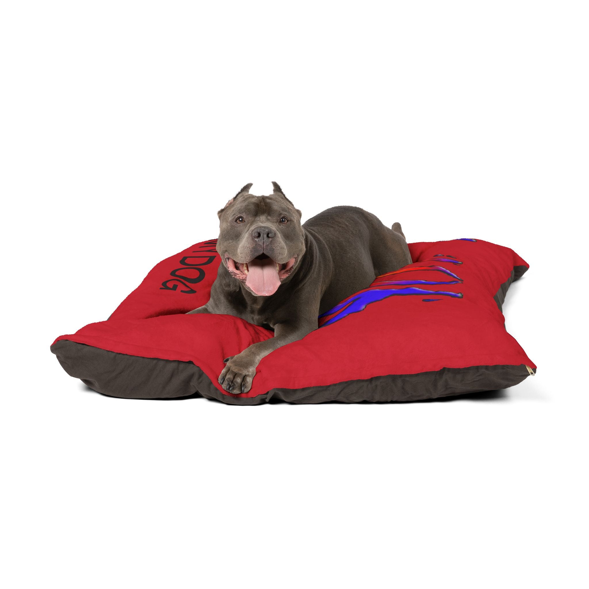 Vibrant Red Dog Bed -  Comfy with LOVE Art Design by Studio Blitz