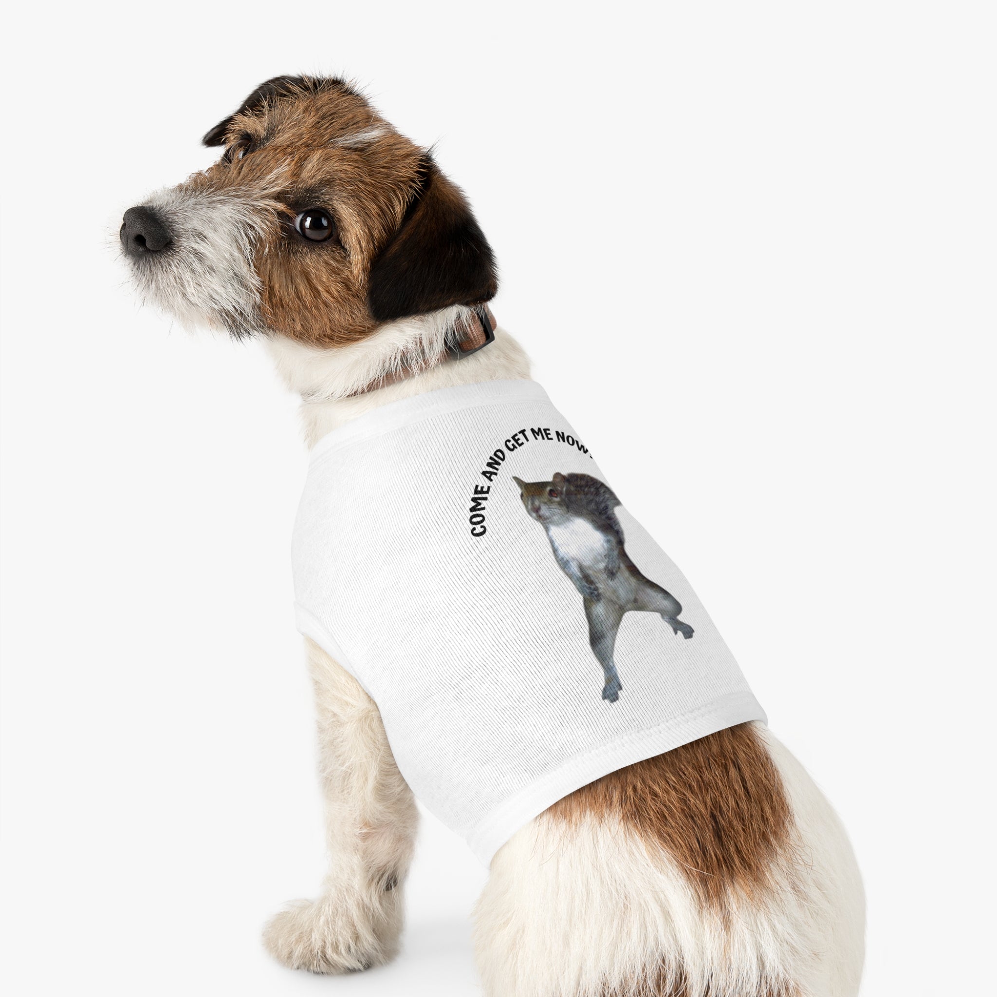 Pet Tank Top — Playful Squirrel Graphic Pup Tank in durable combed cotton by Studio Blitz