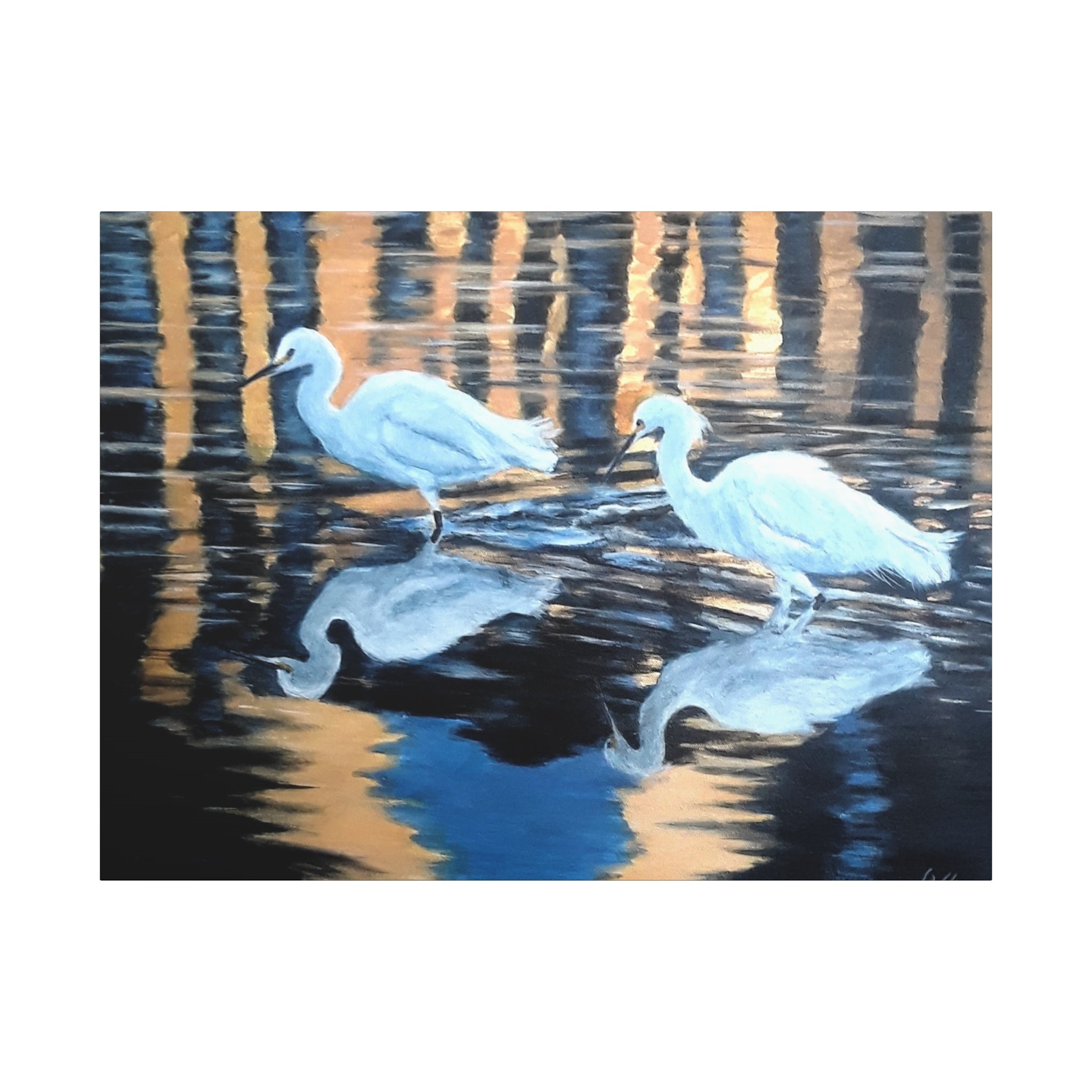 Canvas Print of 'Golden Reflections' Egrets Reflections at Sunset