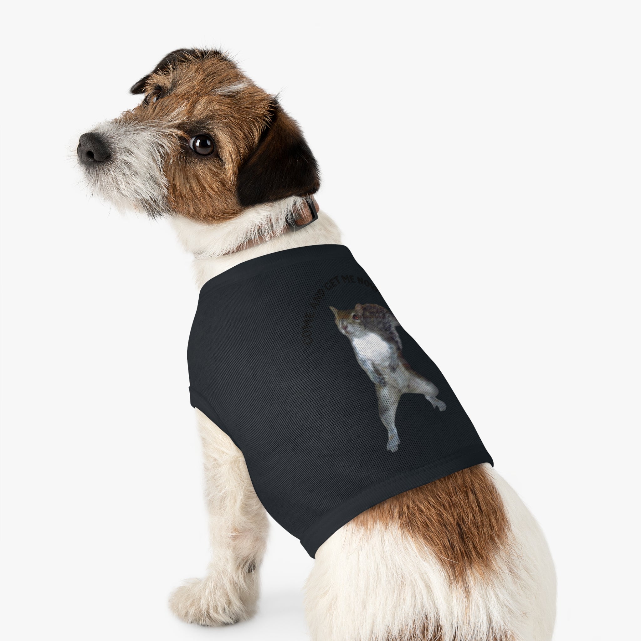 Pet Tank Top — Playful Squirrel Graphic Pup Tank in durable combed cotton by Studio Blitz