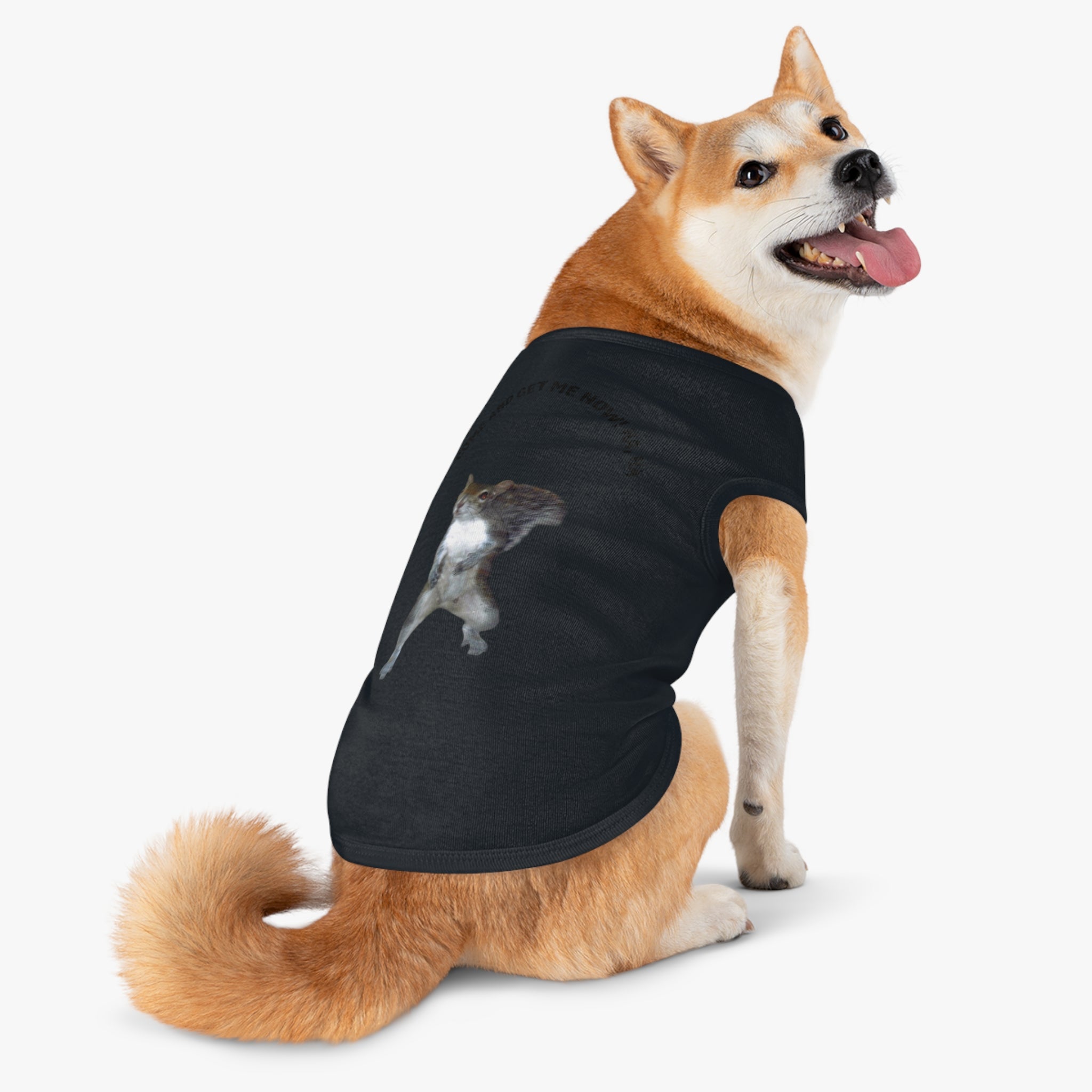 Pet Tank Top — Playful Squirrel Graphic Pup Tank in durable combed cotton by Studio Blitz