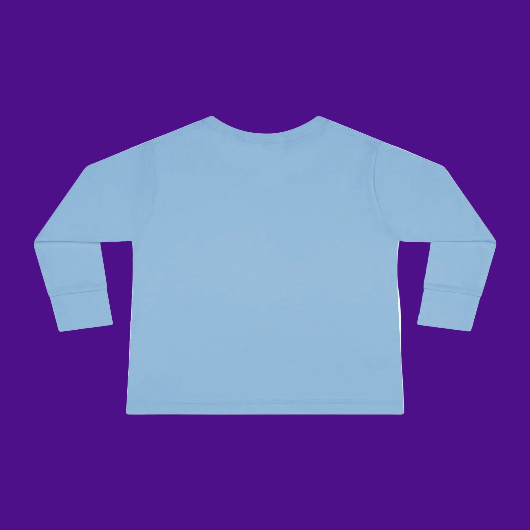 Light blue long-sleeve T shirt BACK