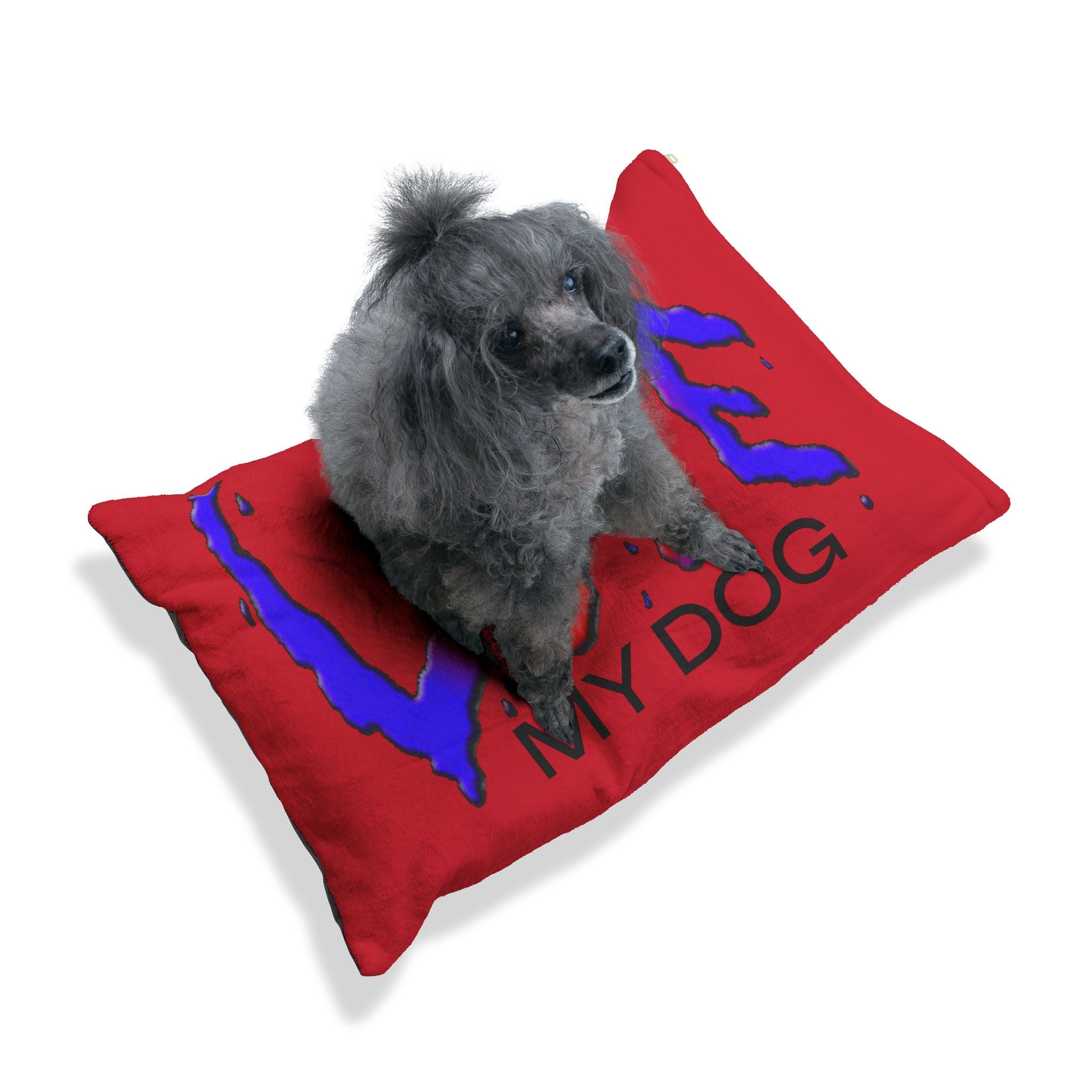Dog sitting on a red pillow with blue and black text on a white background