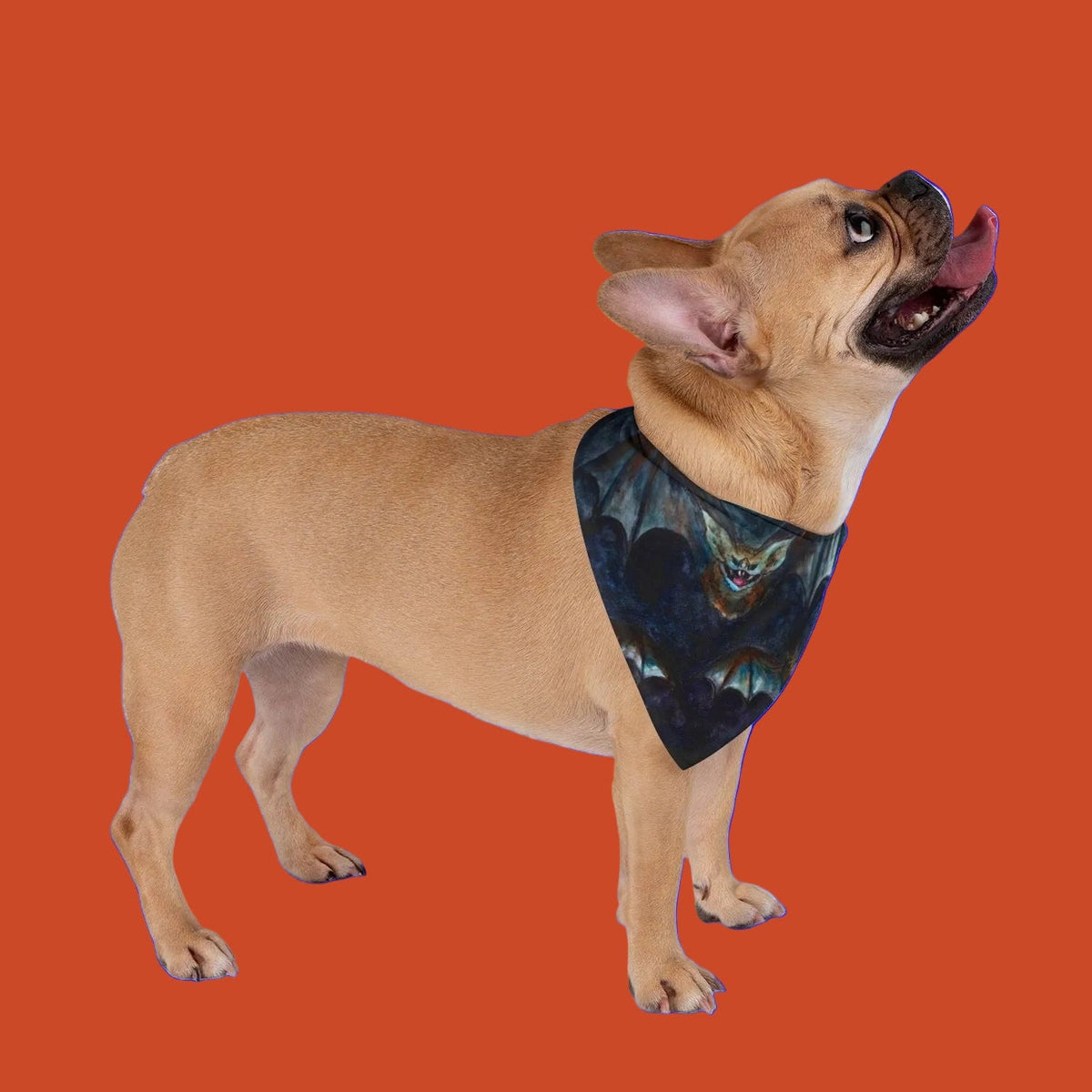 Dog wearing a bandana - Batty design for Halloween