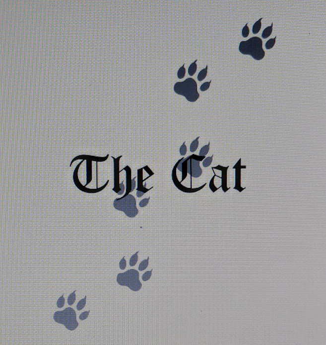 Back of Pillow with Text 'The Cat' with paw prints will be on a  black background
