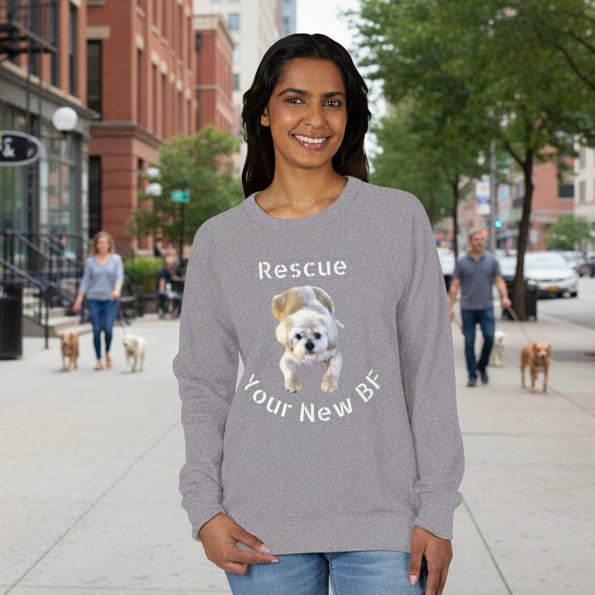 Person wearing a graphite heather raglan shirt with a dog graphic and text S-3XL